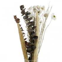 Article Bouquet de fleurs séchées à l&#39;eucalyptus blanc DIY box H30-35cm