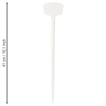 Article Etiquette plante 36cm 10pcs.