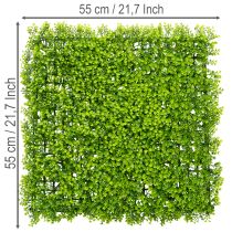 Article Plante Artificielle Buisson Carré 55x55 cm pour Décoration Murale