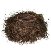 Article Jardinière hérisson en vigne 22cm x 25cm