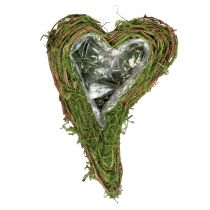 Cœur de plante mousse et vigne 30cm x 20cm