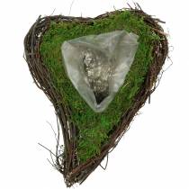 Plante coeur vigne, mousse 26×36cm H9cm
