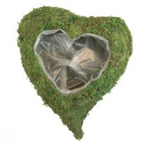 Article Coeur de plante mousse verte bol de plante coeur 20x20x5,5cm