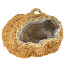 Article Panier à plantes citrouille décoration d&#39;automne orange Ø22cm H17cm