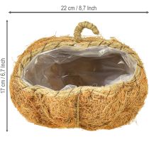 Article Panier à plantes citrouille décoration d'automne orange Ø22cm H17cm