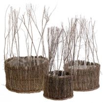 Panier à plantes en brindilles blanchies Ø15-25cm lot de 3