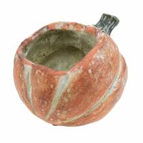 Citrouille à planter Orange 19×15×16cm