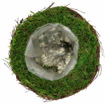 Jardinière en rotin, mousse Ø19cm H13cm