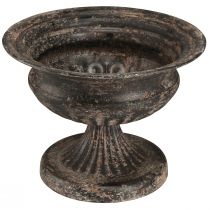 Article Coupe Plante Calice Aspect Antique Noir Marron Ø20cm H15cm