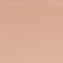 Article Bol à plantes ovale décoratif en plastique rose marron 20×10×11cm 3pcs