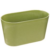 Article Bol à plantes ovale vert plastique 20×10×11cm 3pcs