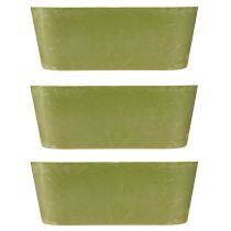Article Bol à plantes ovale vert en plastique 27×11×10cm 3pcs
