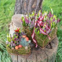 Bol à plantes panier en maille coeur métal rouille 20/24,5/30 lot de 3