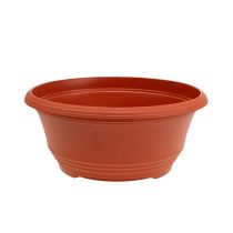 Article Bol à planter en plastique Ø20cm terre cuite 1 pièce