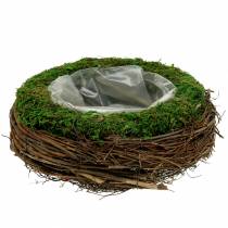 Jardinière en rotin, mousse Ø26cm H9cm