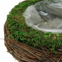 Jardinière en rotin, mousse Ø26cm H9cm