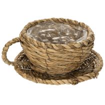 Article Panier à thé pour une décoration intérieure naturelle et une ambiance charmante 15 cm