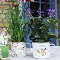 Article Pot de plantation émaillé, pot à planter avec inscription, Ø 11 cm