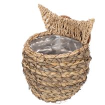 Article Panier décoratif en forme de chouette en jacinthe d'eau tressée 18 cm