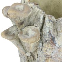 Article Pot de fleurs en pierre moulée avec souche d&#39;arbre en forme de champignons 16 cm