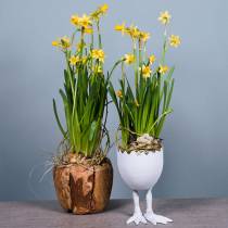 Cache-pot coquille d&#39;oeuf avec pieds Ø13cm H21cm blanc