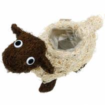 Article Cache-pot vigne de mouton marron blanchi 35×14cm H26cm