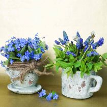 Article Cache-pot et soucoupe vintage gris, ton naturel Ø8cm H6,5cm 4 pcs
