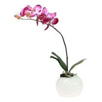 Orchidées artificielles en pot Phalaenopsis fleurs artificielles orchidées rose 34cm