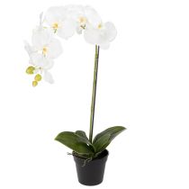 Article Orchidée artificielle, d'un réalisme saisissant, idéale pour la décoration de bureau et de salon, 62 cm