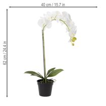 Article Orchidée artificielle, d'un réalisme saisissant, idéale pour la décoration de bureau et de salon, 62 cm