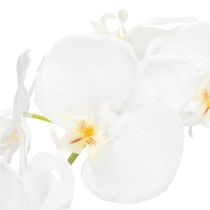 Article Orchidée artificielle, d'un réalisme saisissant, idéale pour la décoration de bureau et de salon, 62 cm