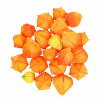 Physalis Orange Assortiment de calices artificiels 22pcs