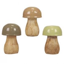 Article Champignons en bois champignons décoratifs bois beige, vert Ø5cm 7,5cm 12pcs