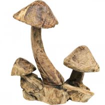 Groupe de champignons, bois de paulownia, décoration automne, sculpture bois H33cm L30cm