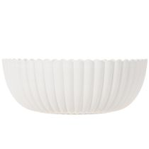 Article Coupe décorative en plastique gris clair à relief - 25 cm