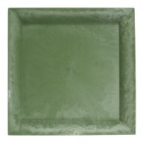 Assiette en plastique vert carré 26 x 26 cm