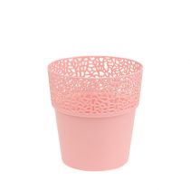 Pot plastique rose Ø11.5cm H12.5cm 1p