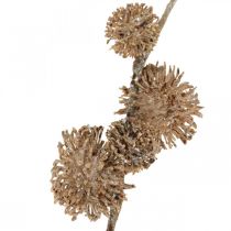 Article Branche Décorative Platane avec Fruits Décoration d'Automne Artificielle Platane Brun L82cm Ø2-4cm