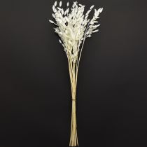 Article Avoine sauvage séchée Chasmantium Blanc 70 cm 10 pcs