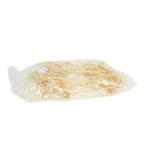 Article Plumosum 1 blanchi 25 pièces