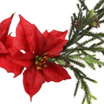 Article Couronne décorative poinsettia et branches de conifères artificiellement Ø30cm