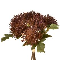Article Coussin à épingles artificiel Protea Leucospermum violet 30 cm 6 pièces