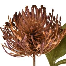 Article Coussin à épingles artificiel Protea Leucospermum violet 30 cm 6 pièces