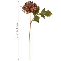 Article Pelote d’épingle artificielle Leucospermum Violet 30cm 6pcs