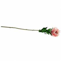 Article Protea Artificielle Rose 73cm