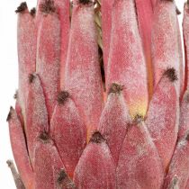 Artificielle Protea Red Fleur artificielle exotique H55cm