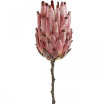 Artificielle Protea Red Fleur artificielle exotique H55cm