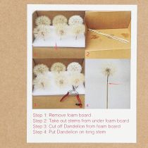 Article Pissenlit décoratif blanc – fleurs séchées délicates pour des compositions élégantes Ø11cm 6 pcs