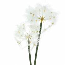 Fleur artificielle Salsifis des prés Blanc 57cm