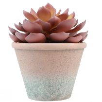 Article Plante succulente en pot Echeveria artificielle rouge vintage Ø15cm H16cm
